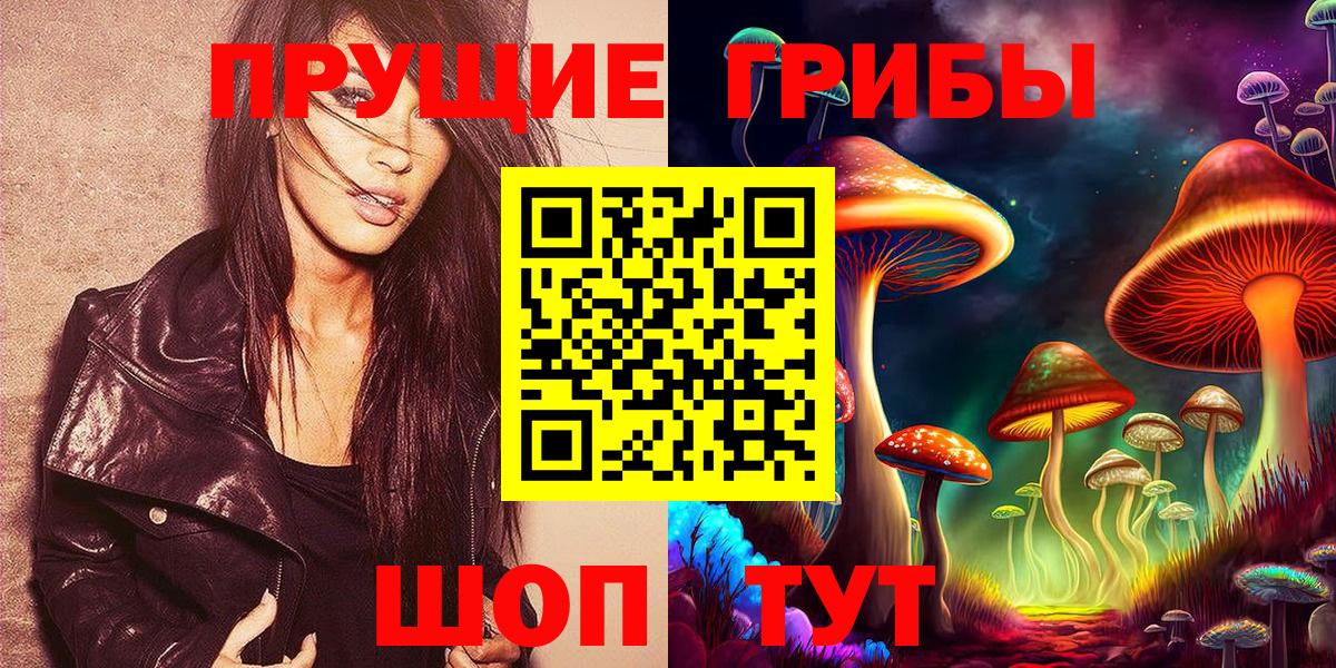 Гусев  Псилоцибиновые грибы Cubensis  Вход с VPN 