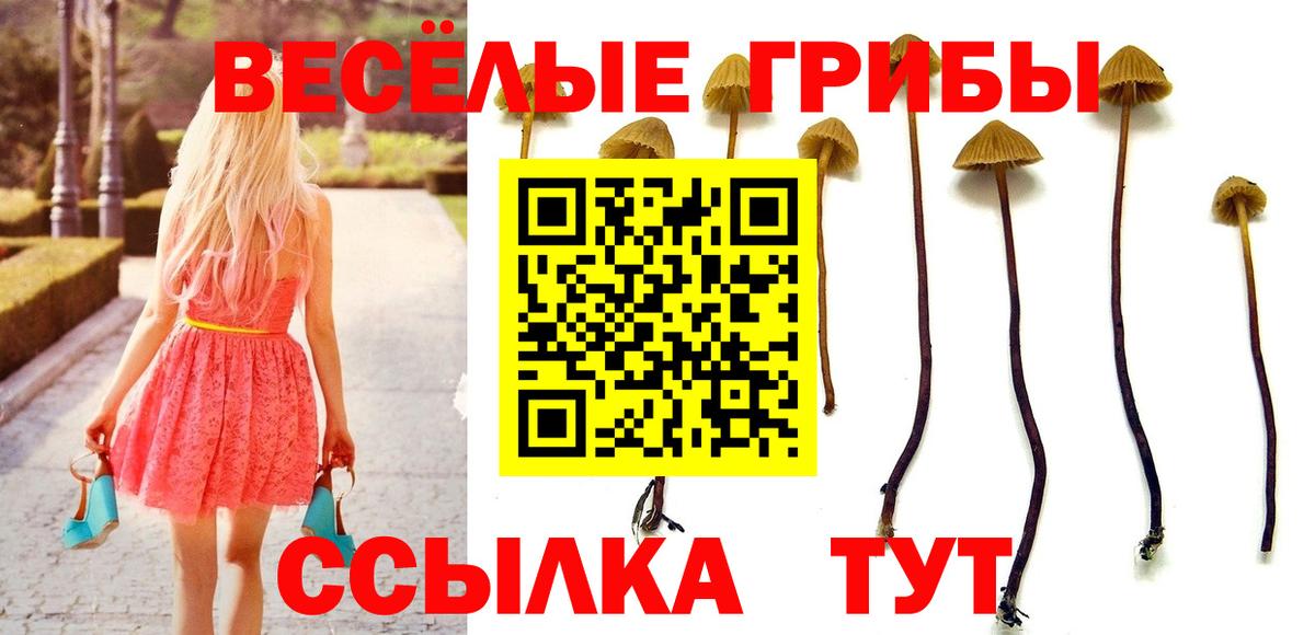 Галлюциногенные грибы Cubensis Гусев